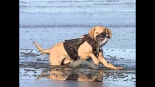 Song by Tim McGraw - My Old Friend