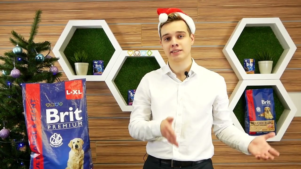Brit Premium (Брит Премиум) 15 кг для собак новинка 2021 года