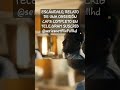 ESCÁNDALO RELATO DE UNA OBSESIÓN CAP 5 COMPLE EN TELE GRAM SUSCRIBETE Seriesnetflixfullhd Shorts