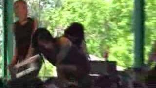 Cornerstone (Showbread)