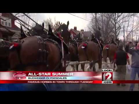 Famous horses in town for All-Star Game