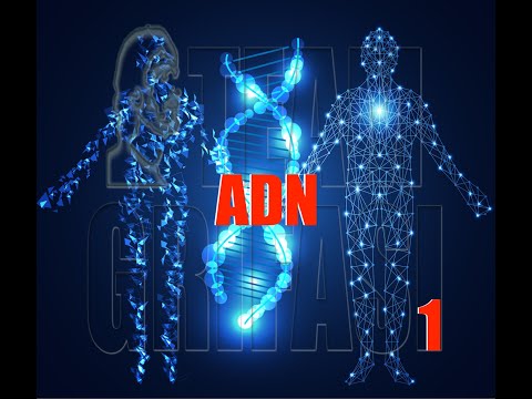222-RO Elena, Ciclul Investigativ 166 Prot 1: ADN - Doina Iliescu Hipnoperator Extern metoda Grifasi