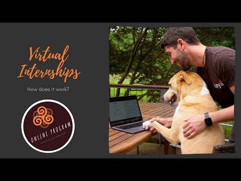 Virtual Internship - How Does it Work