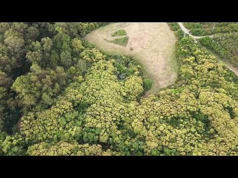 Playa Fomento, Colonia - Diciembre 2025