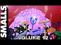 SMALLS VOLUME 12 Adult Swim Smalls