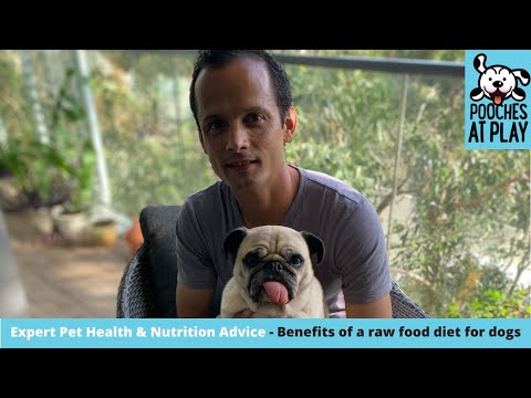 Raw food diet for dogs - Expert Dog Health and Nutrition Advice | S5 Ep3 | Pooches at Play