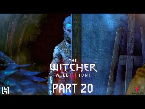 The Witcher 3 : Wild Hunt - Gameplay Walkthrough Part 20