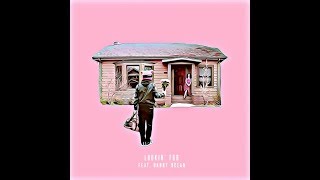 Digital Farm Animals &amp; Danny Ocean - Lookin&#39; For