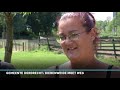 Rijnmond Nieuws - 30 juli 2019