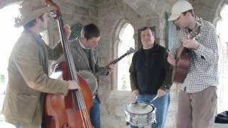 Old Habits - Carolina Born & Bred