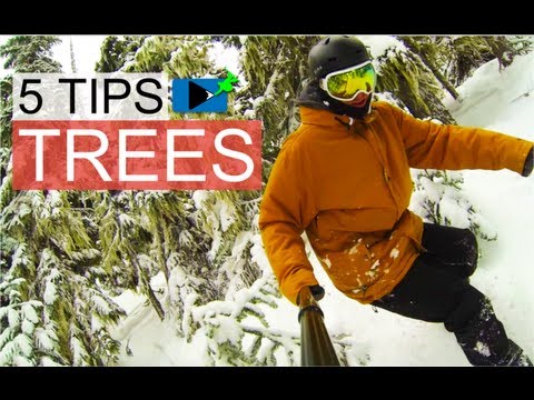 木の上でスノーボードをするための5つのヒント - スノーボードの方法 (5 Tips for Snowboarding in Trees - How to Snowboard)