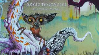 Ozric Tentacles - Mooncalf