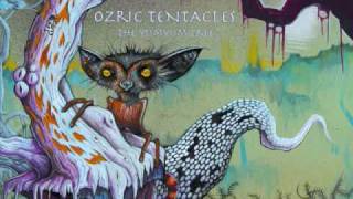 Ozric Tentacles - Mooncalf