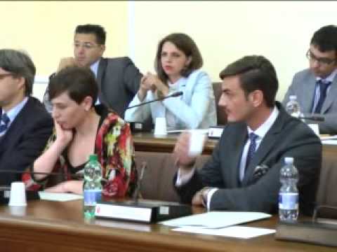 ONDA TG 30.07.2013 - CONVOCAZIONE CONSIGLIO COMUNALE DI SULMONA