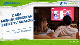 Tak Perlu Repot Lagi, Ini Panduan Sederhana Memasang STB ke TV Analog yang Bisa Dicoba di Rumah