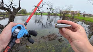 Fishing a Popper In TINY Pond!!