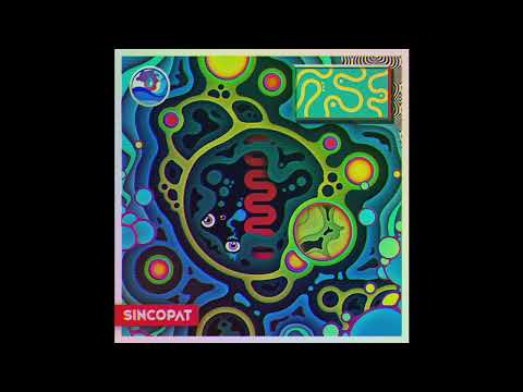 FEINSTOFF PREMIERE: SNYL - I Feel You [SINCOPAT]