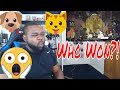 Dog vs Cat Rap Battle (ft. Hollow Da Don & Carter Deems) | RapOff.TV Ep2 Reaction