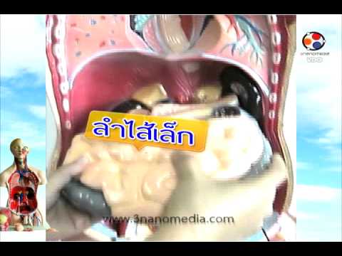 กลากทั้งสามารถส่งไปยังบุคคลอื่น สาเหตุโรคสะเก็ดเงินและอาการ