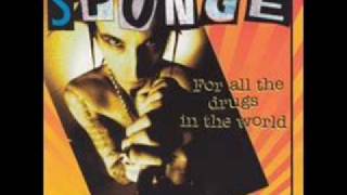 Sponge - Love &amp; Roses