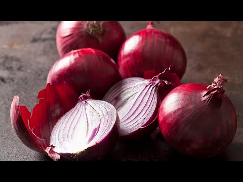 Nuk kanë të njëjtat efekte shëruese, qepa e kuqe kuron këto sëmundje që e bardha nuk i shëron dot