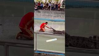 Crocodile Attack 🐊🐊 🤯😱 #shorts #yt #ytshorts #vlog #attack #crocodile