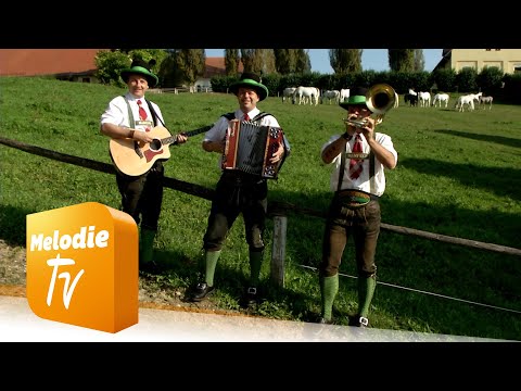Schneiderwirt Trio - Lipizzanerheimat (Offizielles Musikvideo)