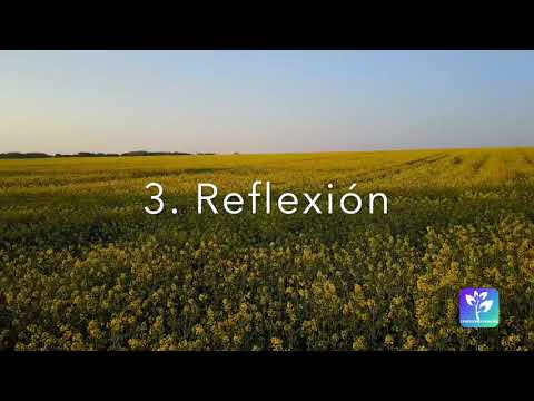 Devocional diario - 2022-03-09 - Principio de dolores