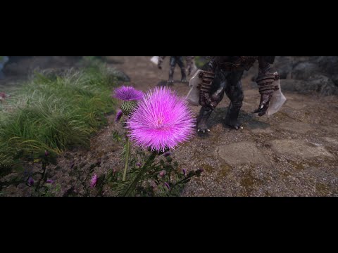 Elder Scrolls V  Skyrim - Thistle