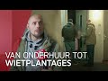 Zo speurt Amsterdam naar illegale huurders