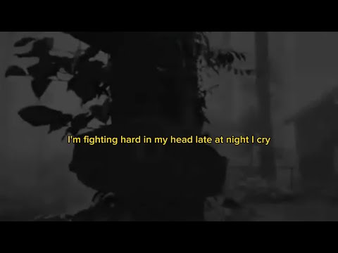 Sky Woods - I'm Terrified (Lyric Video)