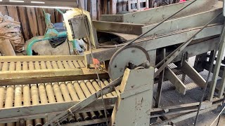 Potatissorterare Pålsson sorting machine | Image 4 - Machineryline