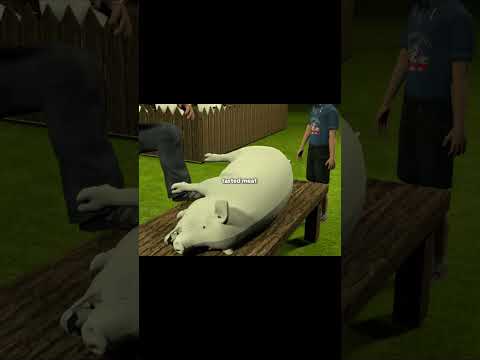 He thought the pig liked him #pig #boy #fyp