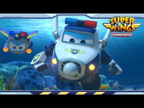 Witness21 Editor  2022 04 09