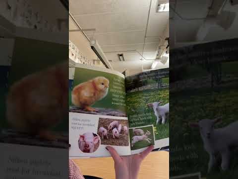 Read aloud. Everything Spring