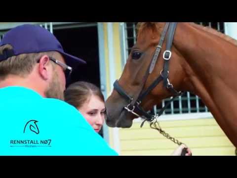 BBAG Jährlingsauktion 2016 Part 1