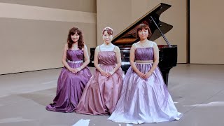 Download lagu パッヘルベルのカノン mp3