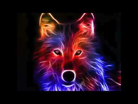 relax cool music and party the wolf