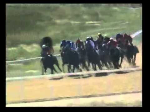 Navistar - 3rd win - Racing Association