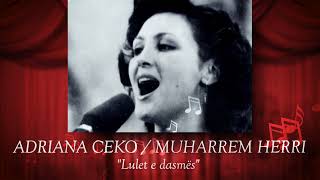 Adriana Ceko & Muharrem Herri - Lulet E Dasmës