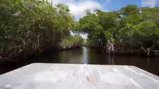 preview picture of video 'Airboat ride through the Everglades in Florida (HD)'