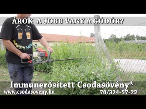 GyIK 34- Árok vagy gödör, mi jobb a csodasövény telepítéséhez?