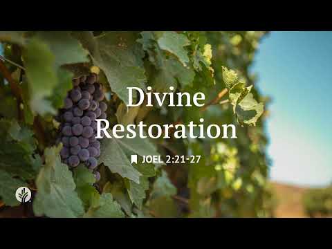 Divine Restoration | Audio Reading | Our Daily Bread Devotional | February 18, 2026