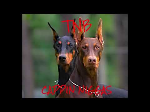 TNB - Cappin Niggas