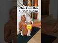 Yoga Art Shorts Yoga