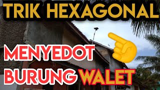 Download lagu Suara Hexagonal Walet dan Cara Pasang Hexagonal Walet agar Burung Walet Mampir Ke RBW kita mp3