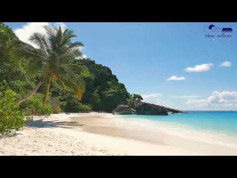 Olas Suaves para Relajar tu Vida Día y Noche - Sonidos de Playa en Samana | Stay Asleep 4 Eva