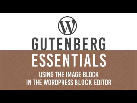 Add Image in WordPress Gutenberg Block Editor Image blocks