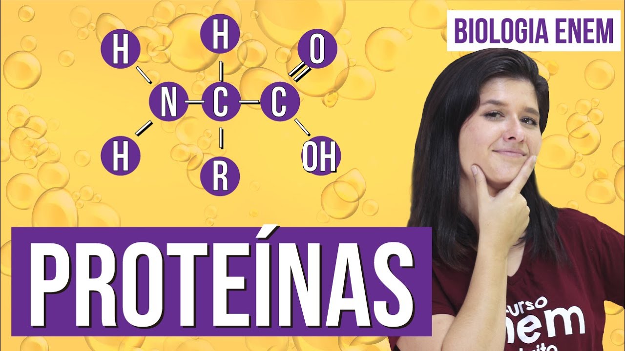 PROTEÍNAS: o que são, exemplos, função, estrutura, aminoácidos | Resumo de Biologia para o Enem