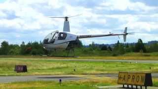 preview picture of video 'Jason Hone solo at Auburn Airport S50 6/20/2014'
